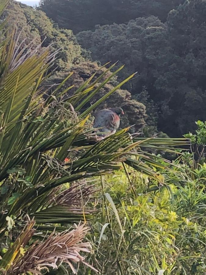 Muriwai Lodge ภายนอก รูปภาพ